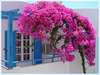 Atalos Villas 